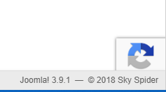 Google Invisible reCaptcha v2